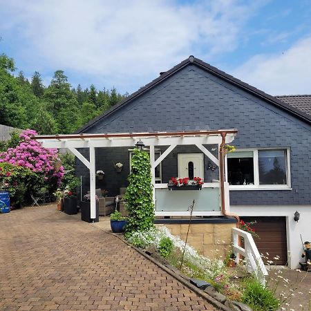 Gaestezimmer Haus Talblick Lautenthal Zewnętrze zdjęcie