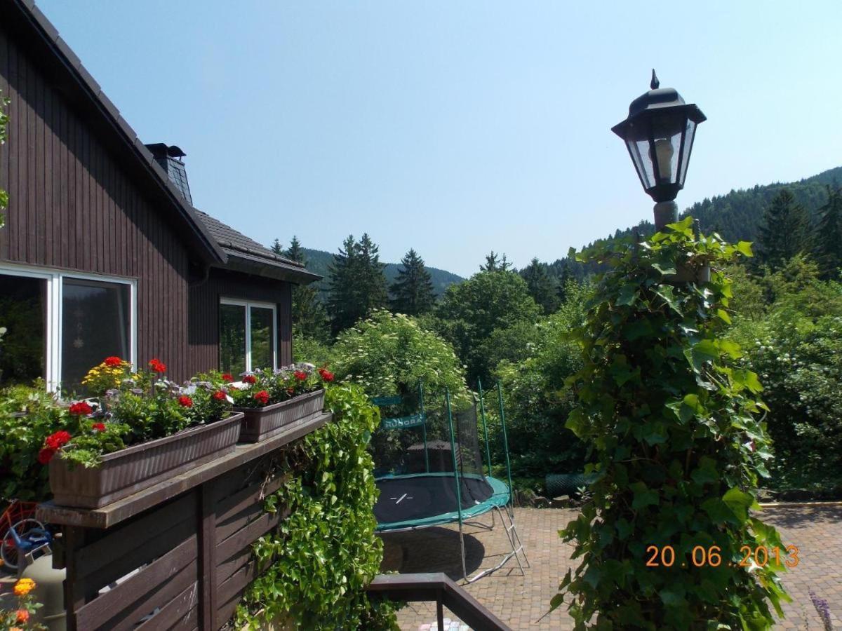 Gaestezimmer Haus Talblick Lautenthal Zewnętrze zdjęcie