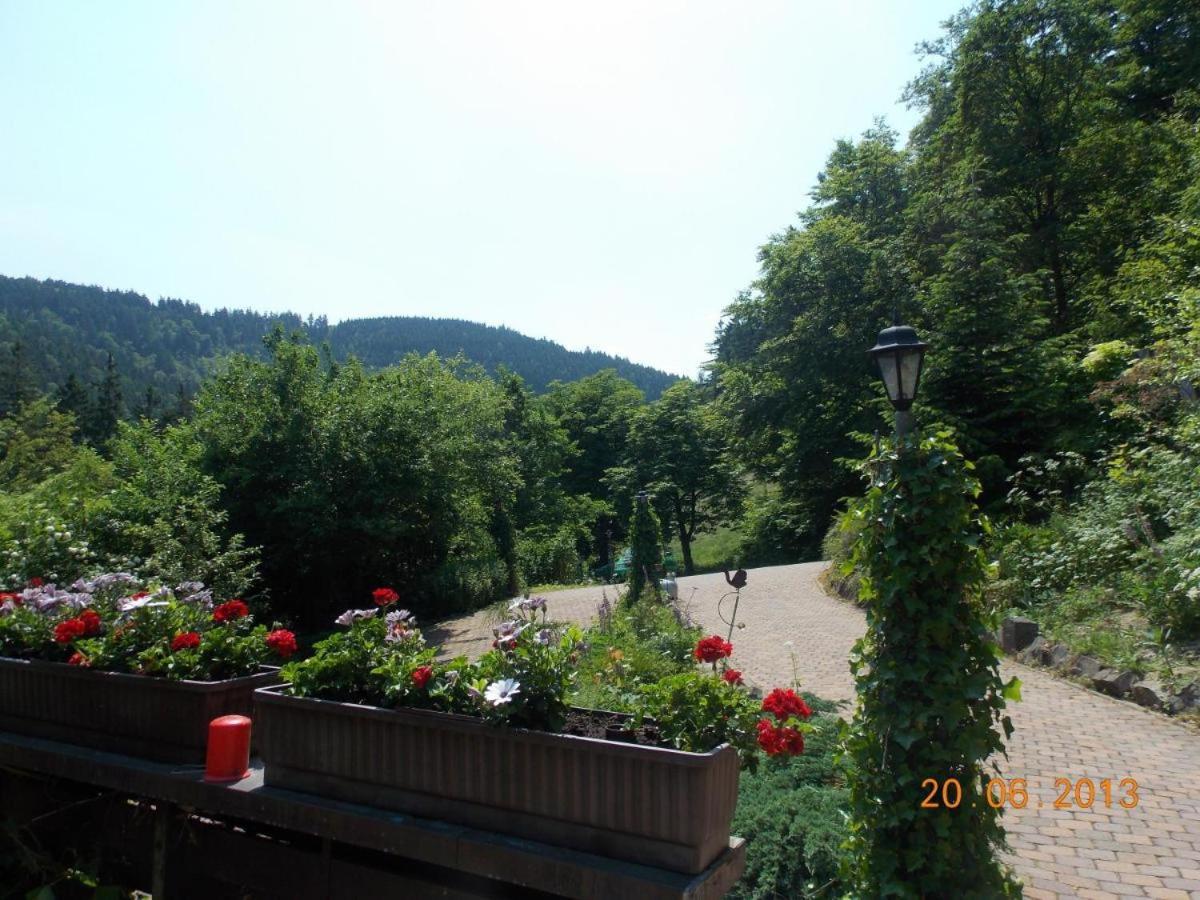 Gaestezimmer Haus Talblick Lautenthal Zewnętrze zdjęcie