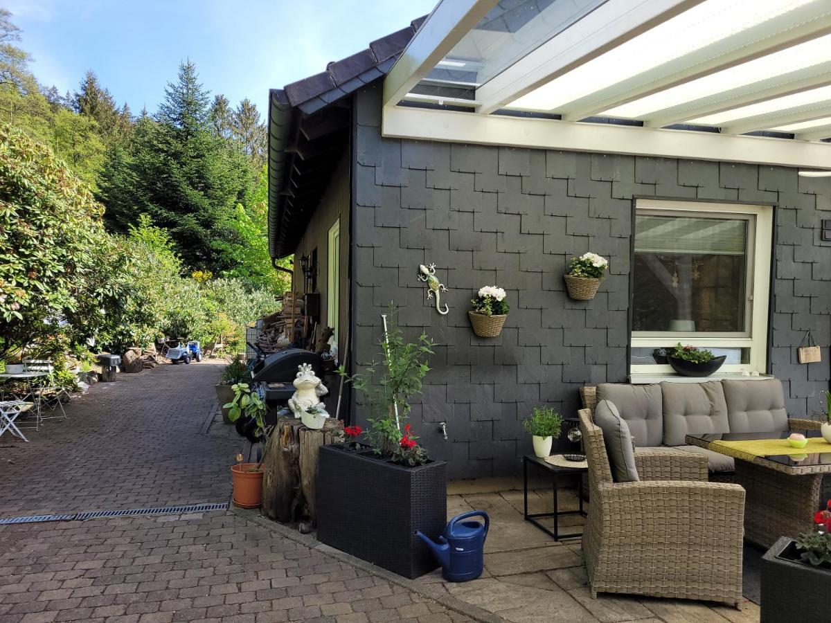 Gaestezimmer Haus Talblick Lautenthal Zewnętrze zdjęcie