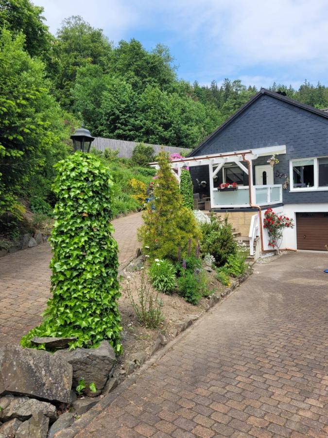 Gaestezimmer Haus Talblick Lautenthal Zewnętrze zdjęcie